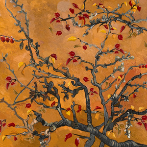 独爱美熟的微博
